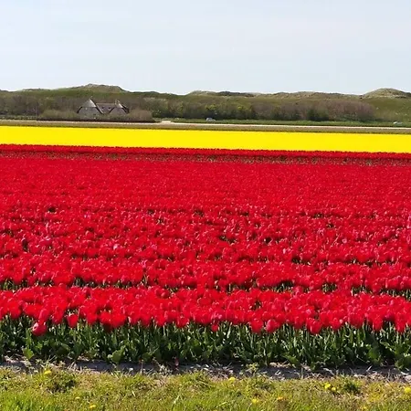 Prázdninový dům Seewind Comfortable Julianadorp