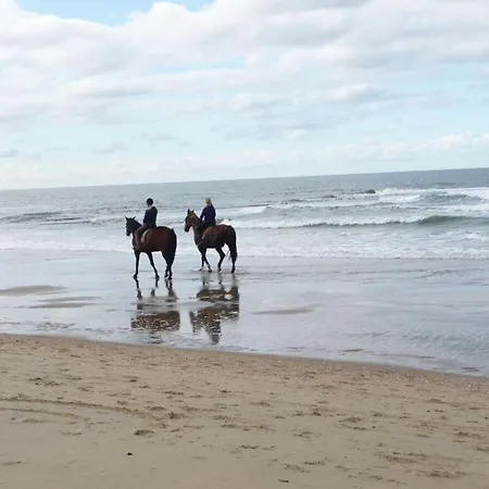 Seewind Comfortable Prázdninový dům