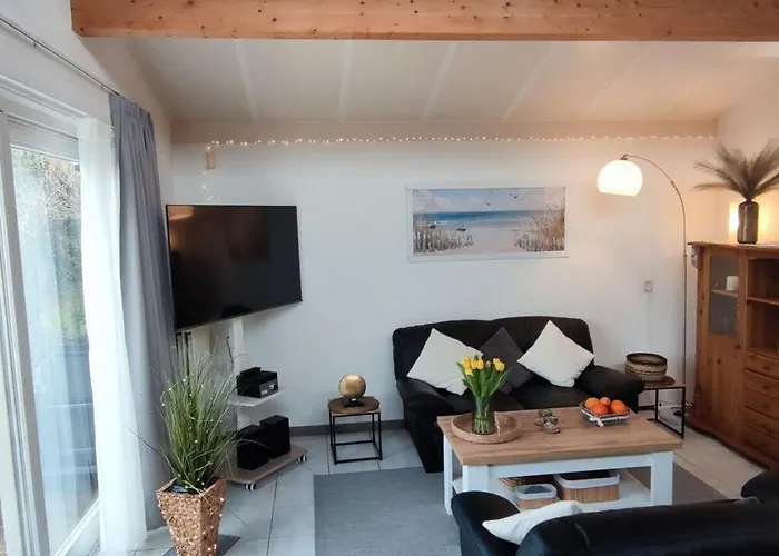 Seewind Comfortable *