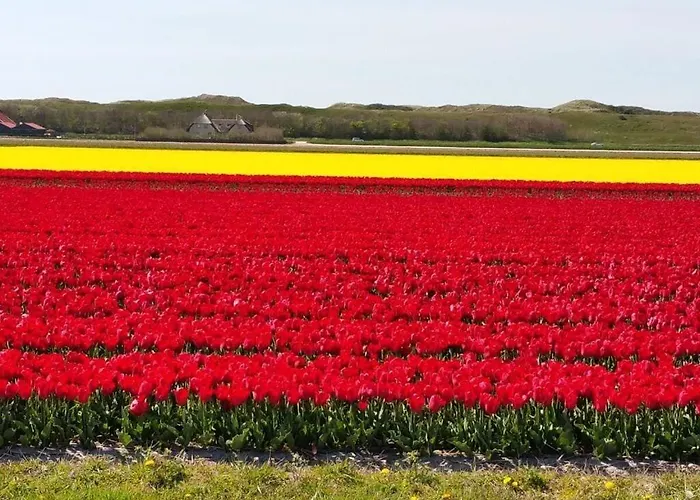 Feriehus Seewind Comfortable Julianadorp