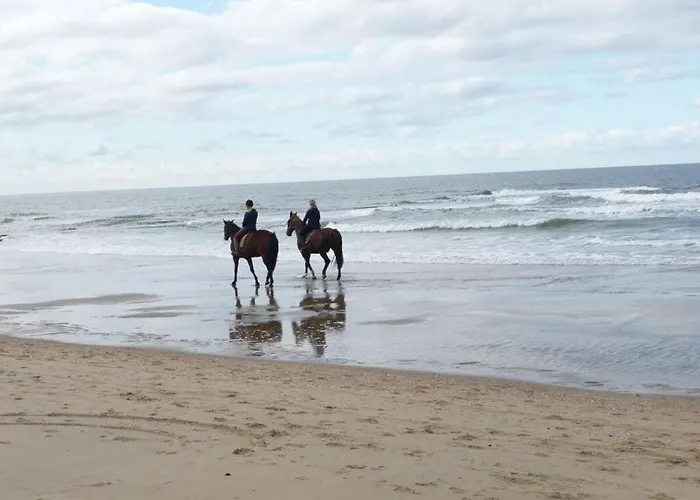 Seewind Comfortable Feriehus